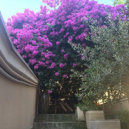 B&B La Bougainvillea Andria Dış mekan fotoğraf