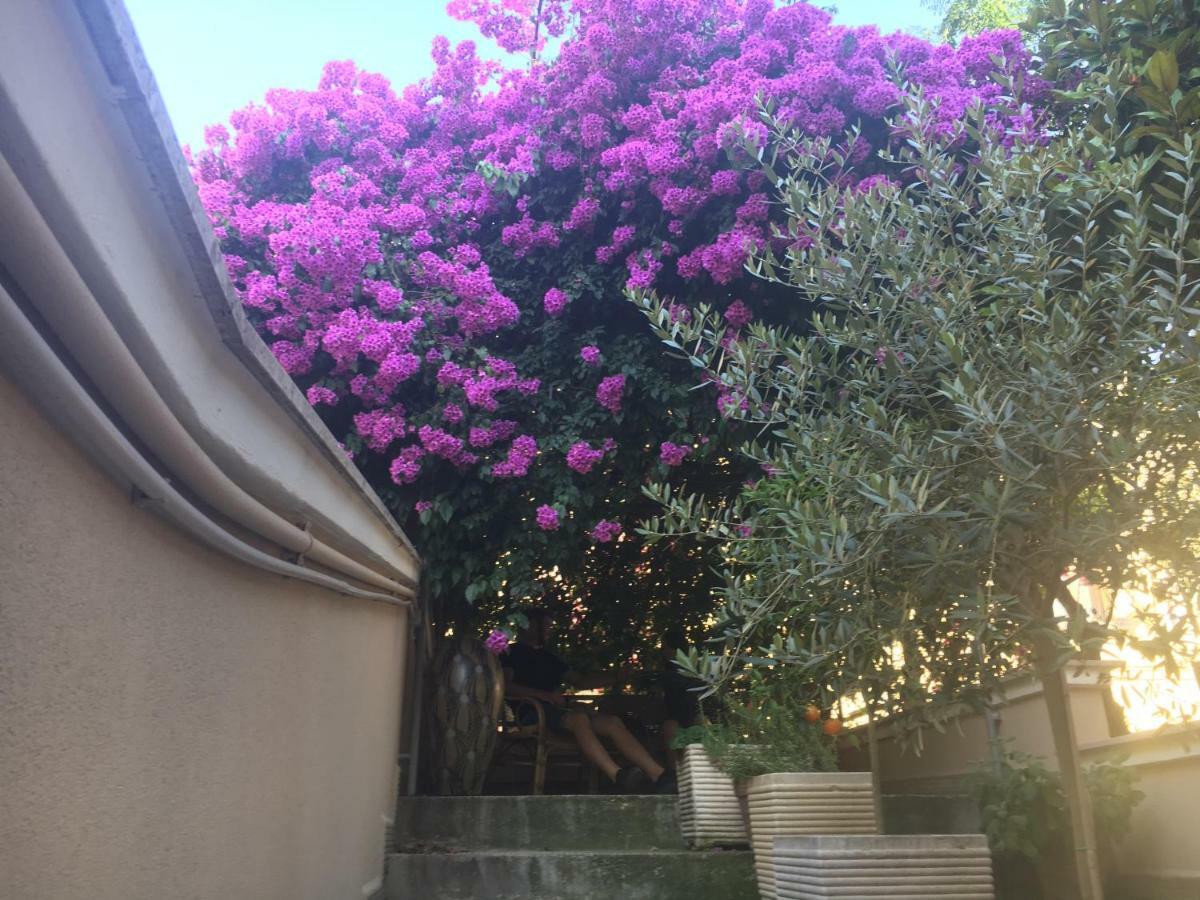 B&B La Bougainvillea Andria Dış mekan fotoğraf